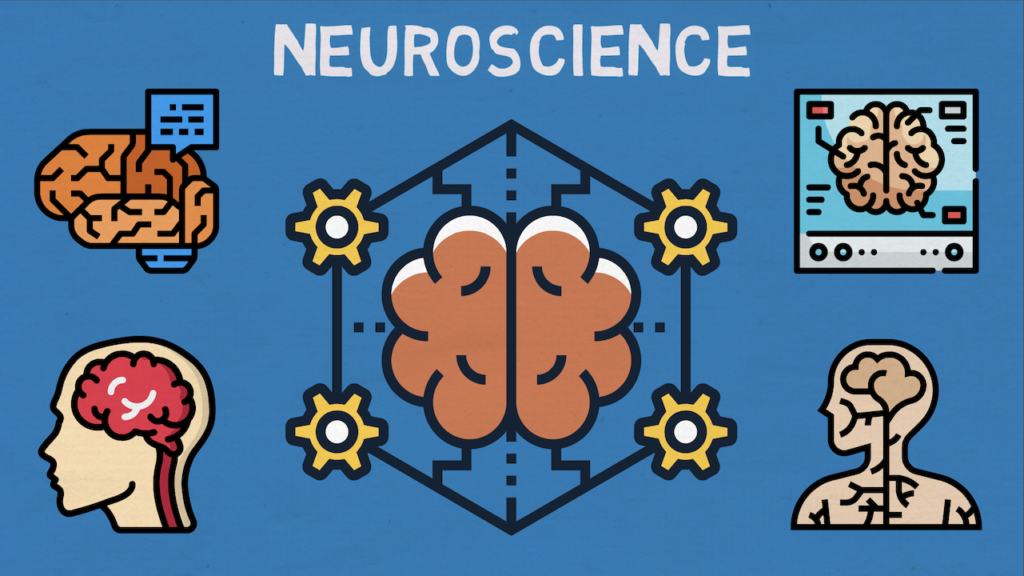 Neuroscience